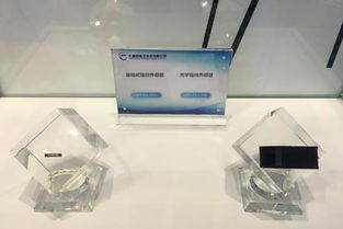 大唐微電子與晶科微電子攜手亮相第二屆生物識(shí)別博覽會(huì)，展現(xiàn)科技創(chuàng)新實(shí)力